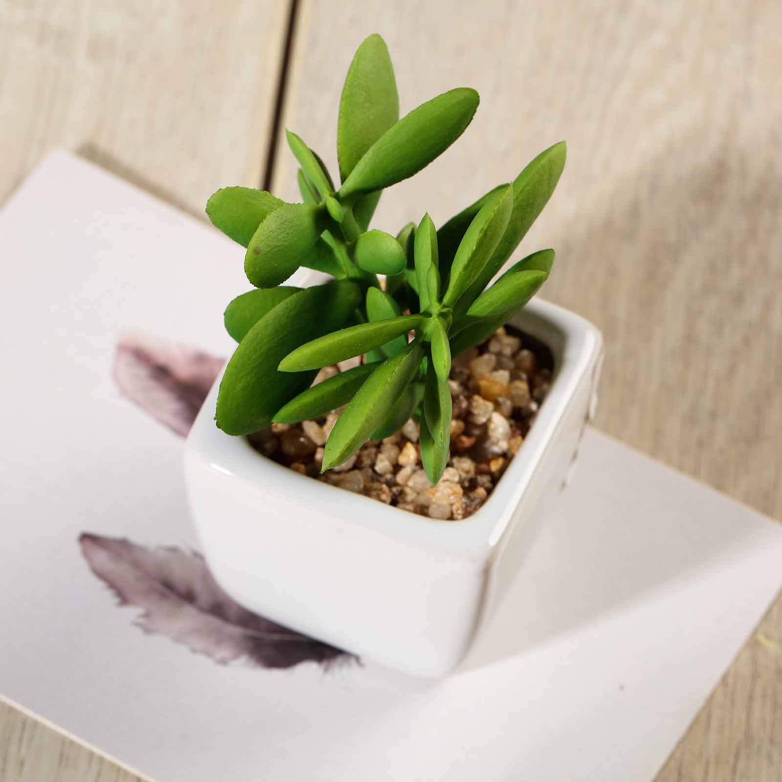 Artificial Succulent Plants Set of 3 - Mini Fake Jade Succulents in Ceramic Pots for Home Office Desk Decor, Wedding Centerpieces & Shelf Displays