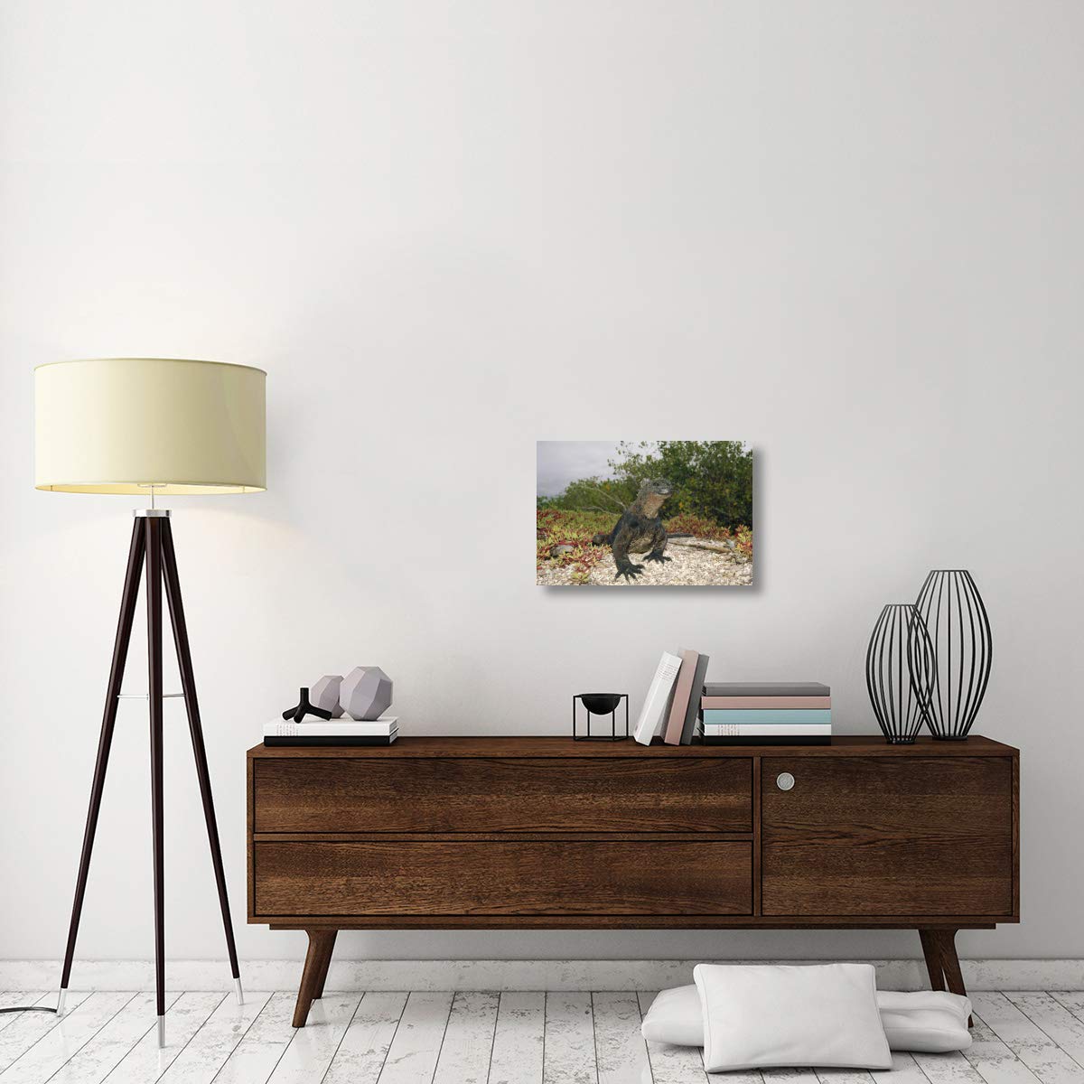 Premium Marine Iguana Male Canvas Art Print - 24x16 Inch Galapagos Wildlife Wall Decor - Academy Bay Ecuador Landscape Photography - Perfect for Living Room, Office & Beach House Decor