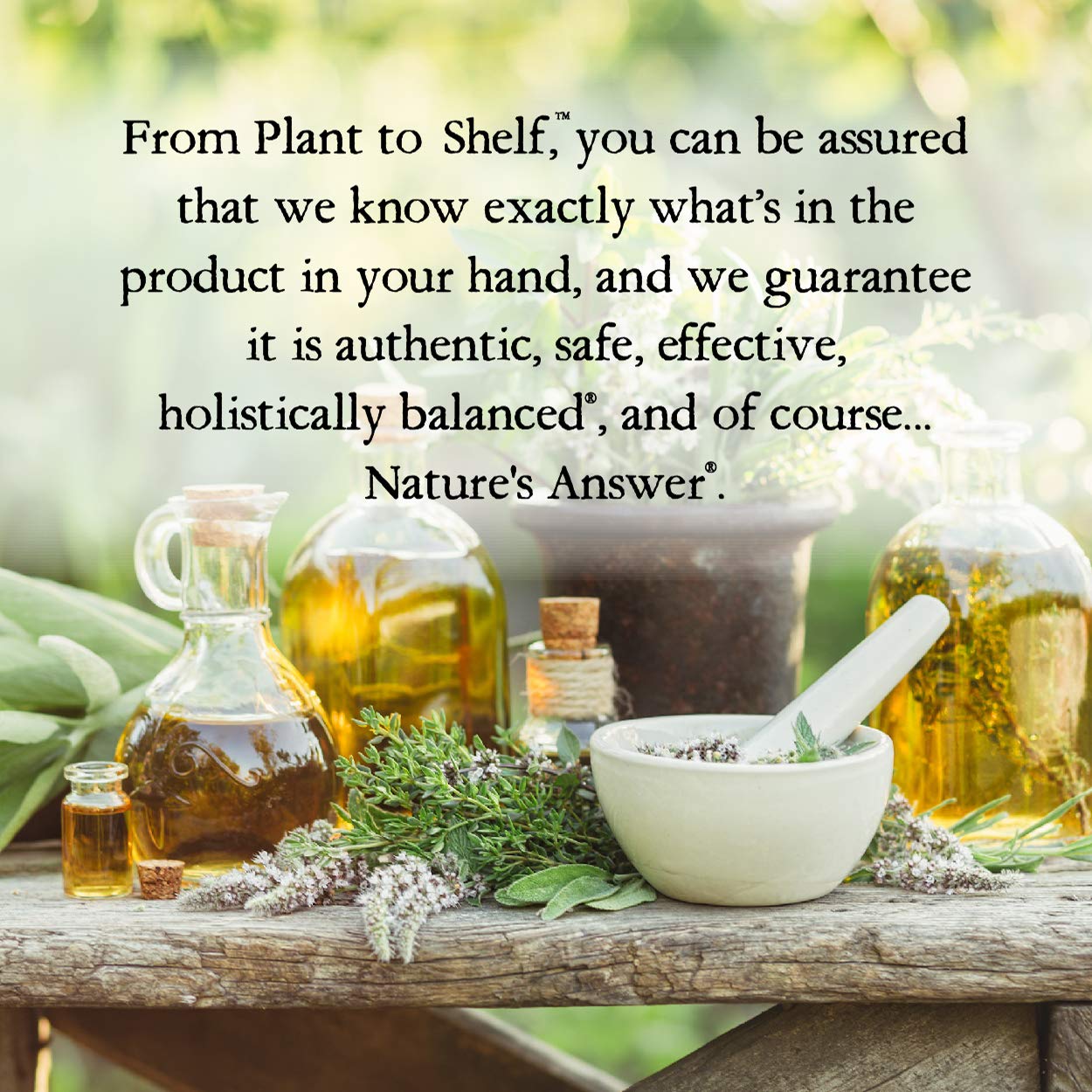 Nature's Answer Organic Bee Pollen 1oz - Alcohol-Free Liquid Extract with Propolis - Gluten Free, Kosher, USA-Made - Supports Immune & Digestive Health - Perfect for Smoothies, Teas & Daily Wellness