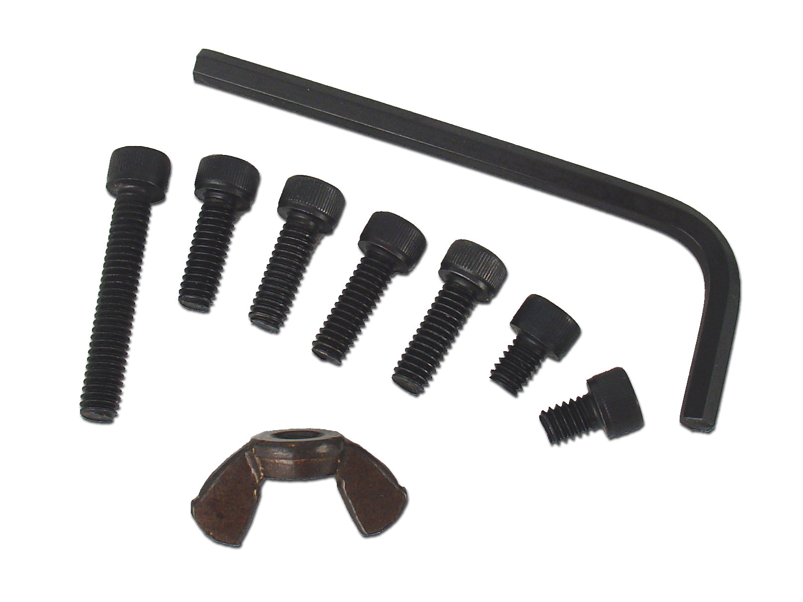 Premium Stainless Steel Screw Kit - Assorted Sizes for Home Repair, Furniture Assembly & DIY Projects