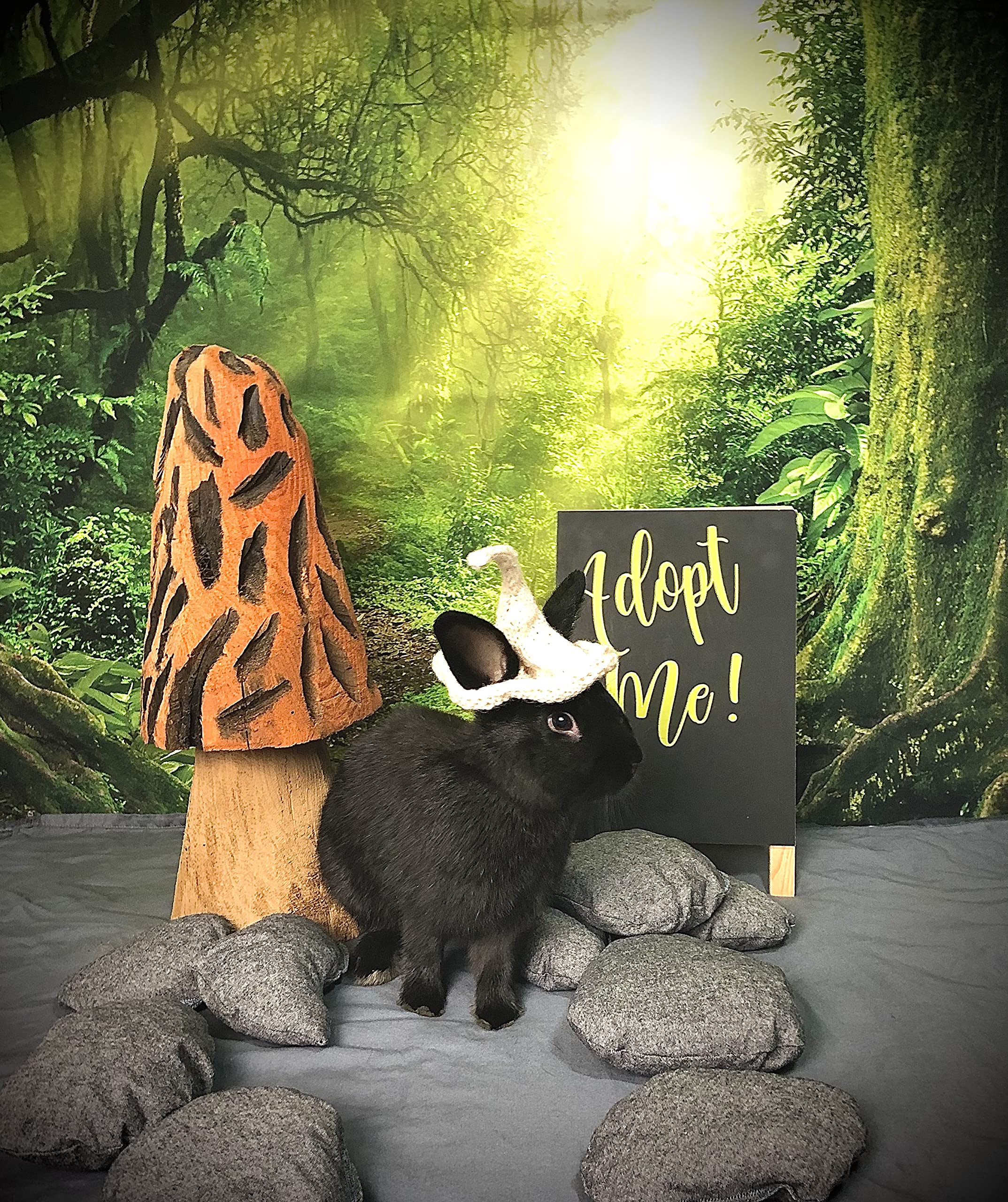 Leowefowa 10x8ft Jungle Forest Photography Backdrop - Old Trees with Green Vines & Dirt Road Fairytale Scene - Vinyl Photo Background for Kids Portraits, Baby Photos, Studio Props - Perfect for Birthday Parties, Baby Showers & Themed Events