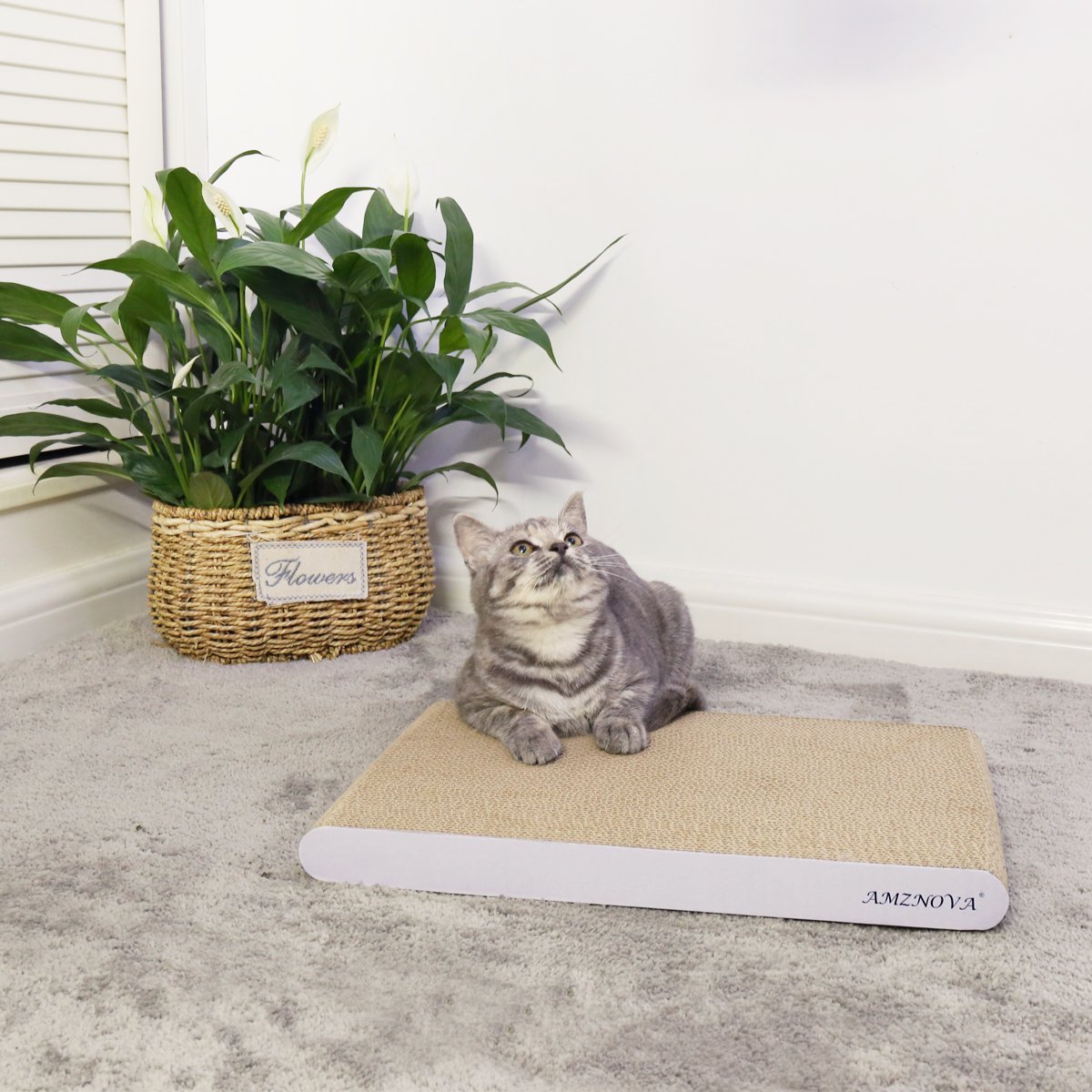 Premium Cardboard Cat Scratcher & Lounge - Extra Wide Ivory Scratching Pad for Cats | Durable Cat Toy with Multiple Angles | Perfect for Indoor Play, Furniture Protection & Stress Relief