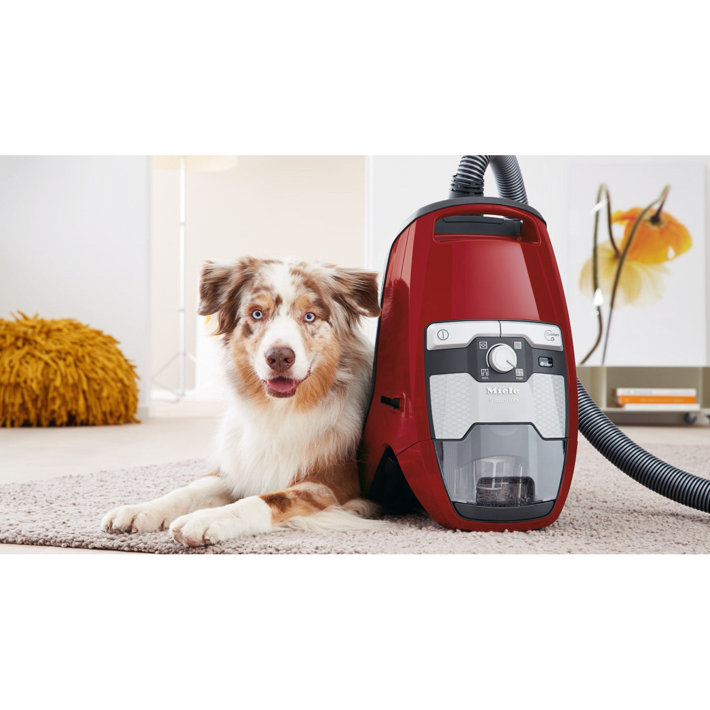 Miele Blizzard CX1 Bagless Canister Vacuum Cleaner for Pet Hair - Powerful Suction for Cats & Dogs - Ideal for Hardwood Floors, Carpets & Home Cleaning