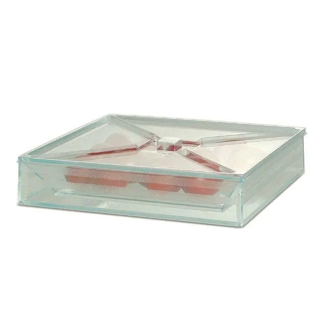 Comatec Bento Lunch Box - Eco-Friendly Sea Green Plastic Food Container for Kids & Adults | Perfect for School, Office, Picnics & Meal Prep
