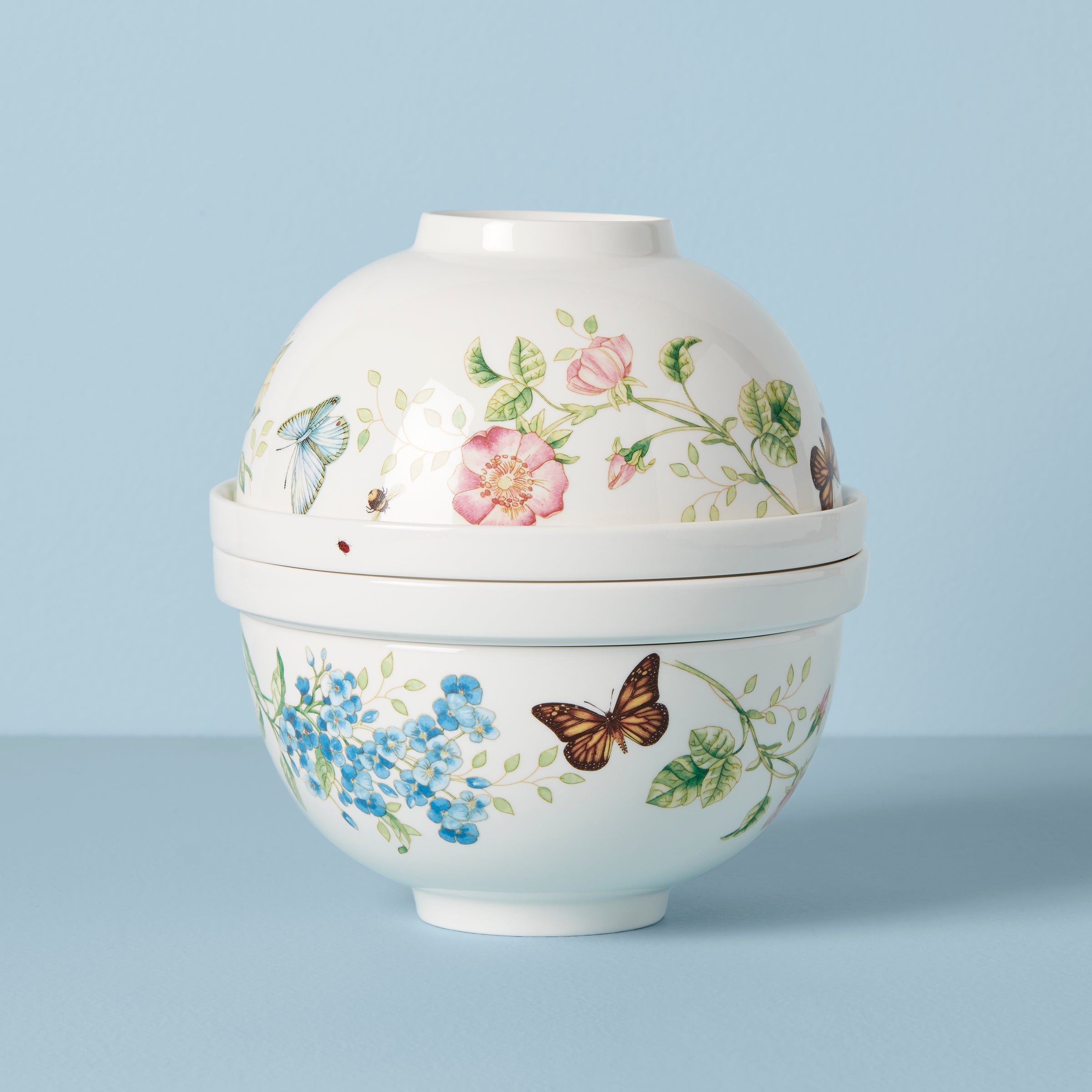 Butterfly Meadow 8-Piece Dinnerware Set - Elegant Porcelain Plates & Bowls for Everyday Dining, Dinner Parties & Home Decor
