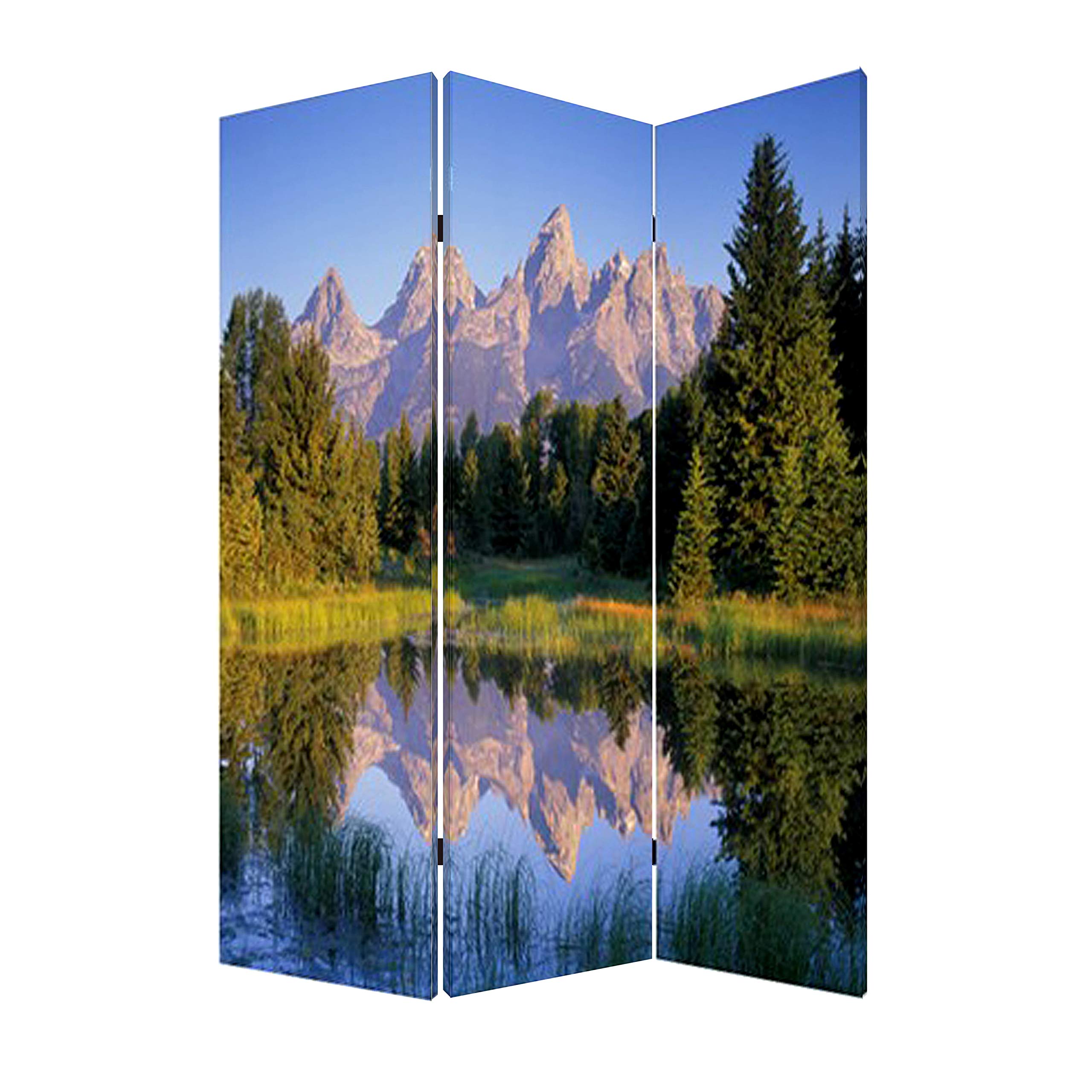 Stylish Screen Gems Mountain Peaks Room Divider - 6-Panel Folding Privacy Screen for Home Office, Bedroom & Living Room | Perfect for Space Separation, Decoration & Sound Dampening