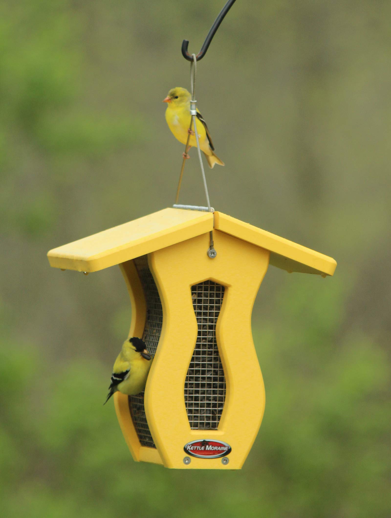 Kettle Moraine Recycled Small Curved Screen Bird Feeder - Eco-Friendly Yellow Outdoor Garden Decor for Attracting Wild Birds