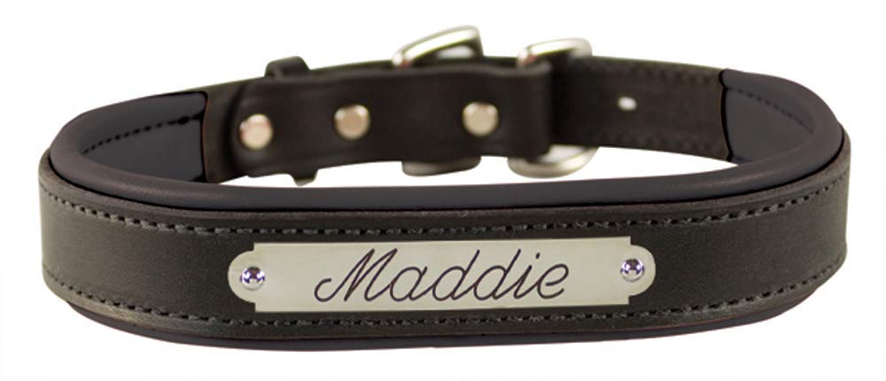 Perri's Padded Leather Dog Collar with Name Plate - Medium Size, Black Leather for Comfort & Style - Perfect for Daily Walks, Training & Pet Identification