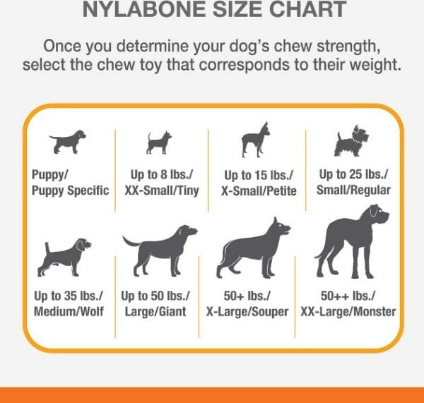 Nylabone Power Chew Durable Dinosaur Dog Toy for Aggressive Chewers - Promotes Dental Health & Teeth Cleaning for Large Breed Dogs - Perfect for Playtime & Training Rewards