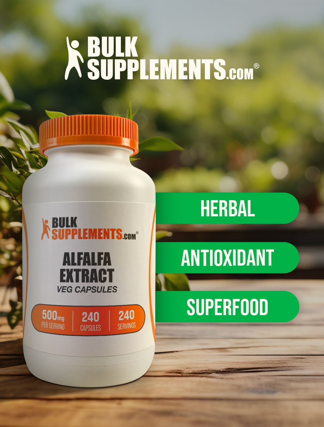 Premium Alfalfa Extract Capsules 1000mg - 120 Vegan Capsules for Immune Support & Detox - Organic Herbal Supplement for Energy & Digestion - Perfect for Daily Wellness & Detox Routines