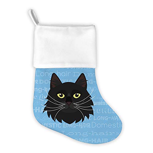 Domestic Long Hair - Black