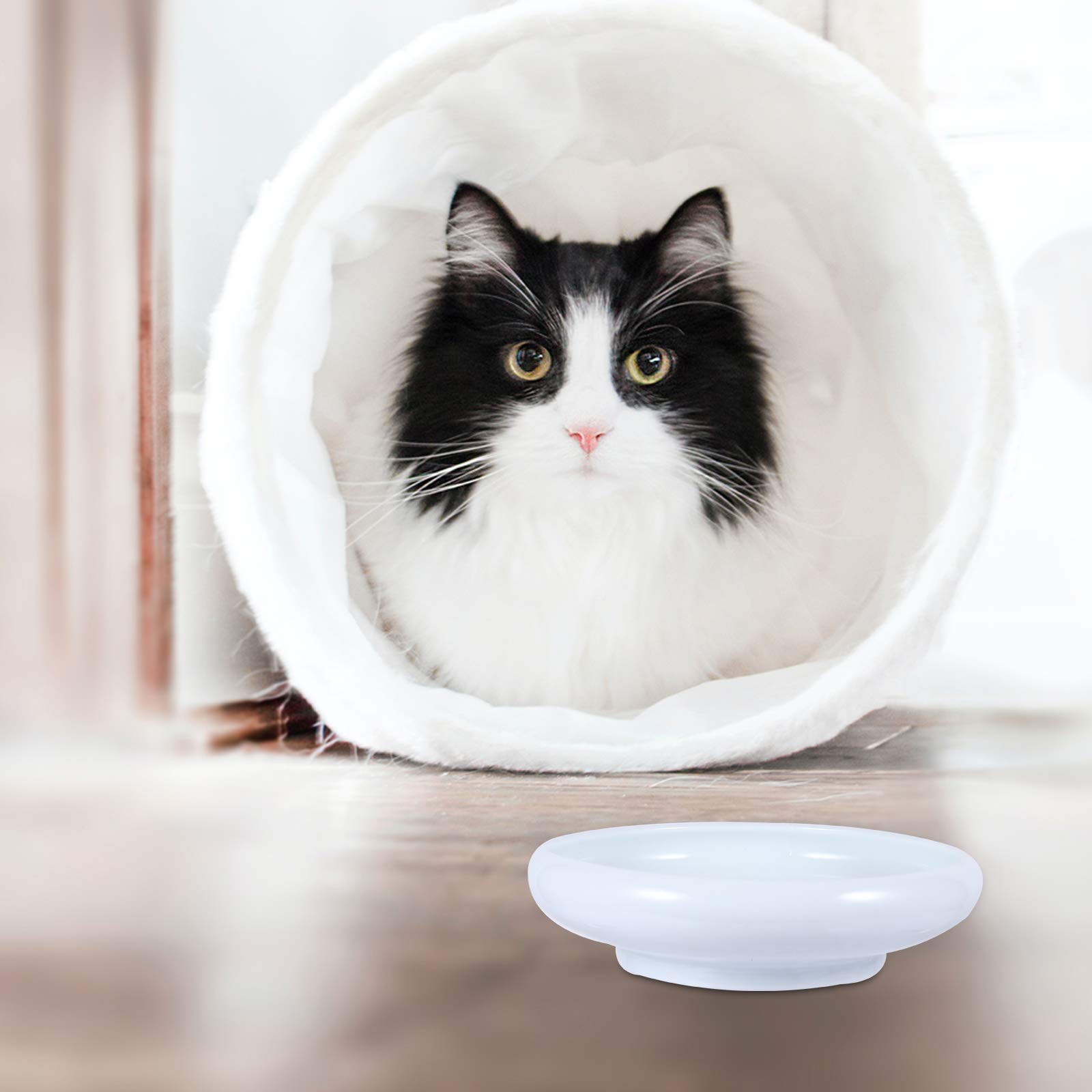 Premium Ceramic Cat Bowl Set - Non-Slip Pet Food & Water Bowls for Cats - Durable & Easy Clean Cat Feeding Dishes - Perfect for Home, Travel, or Office Use