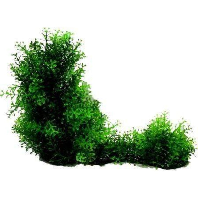 Amazon Jungle Hygro Covered Log Extra Tall - Natural Reptile Habitat Decor for Terrariums & Vivariums - Perfect for Frogs, Lizards & Geckos