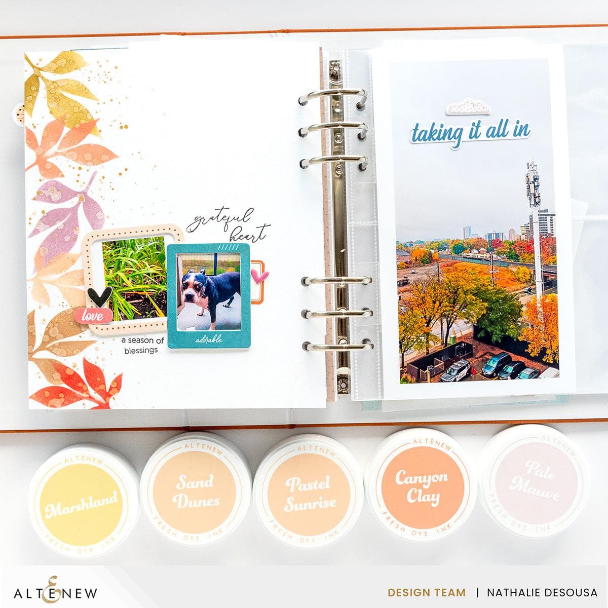Premium Coffee Break Fresh Dye Ink Mini Cube & Reinker Bundle Set for Card Making, Scrapbooking & DIY Crafts - Perfect for Paper Crafting, Stamping & Mixed Media Projects