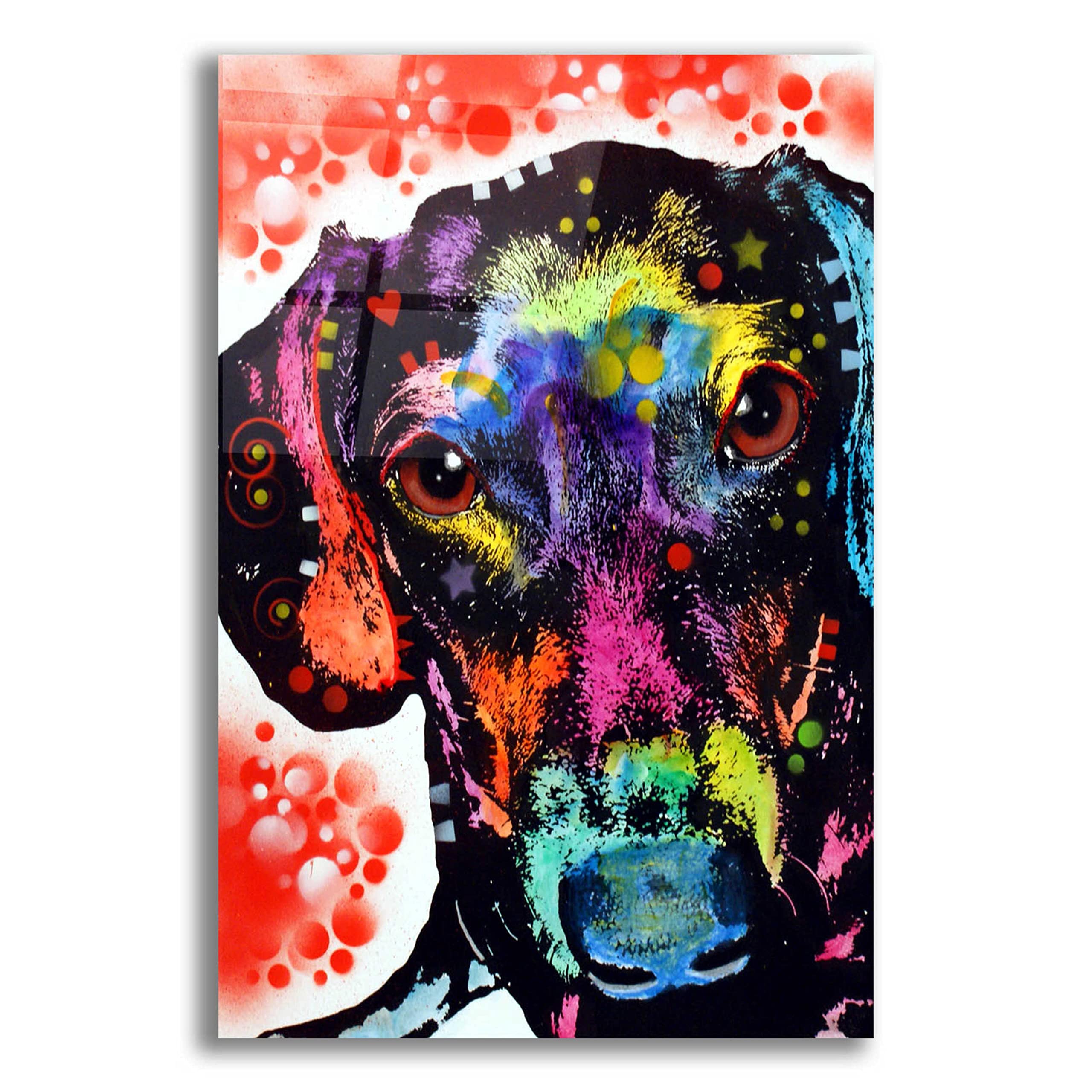 Epic 'DOX' Dog Art Print by Dean Russo - 16x24 Inch Acrylic Glass Wall Decor - Vibrant Animal Artwork for Living Room, Office & Modern Home Decor