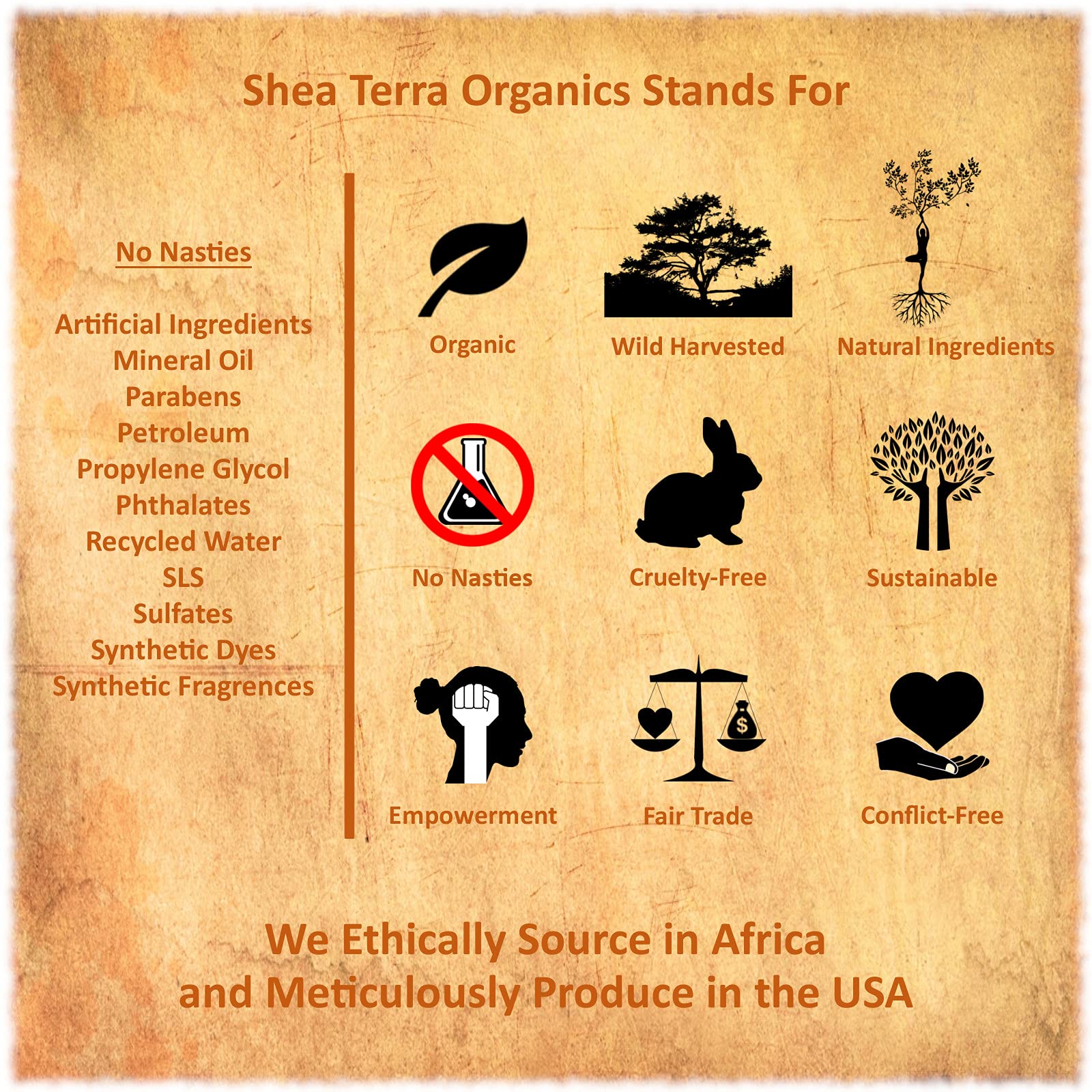Shea Terra Egyptian Black Seed Cold Pressed Extra Virgin Oil - 100% Pure, Organic, All-Natural Immune Booster for Hair Growth, Skin Tone & Dry Skin Care - 8 oz | Perfect for Daily Skincare, Hair Treatment & Aromatherapy