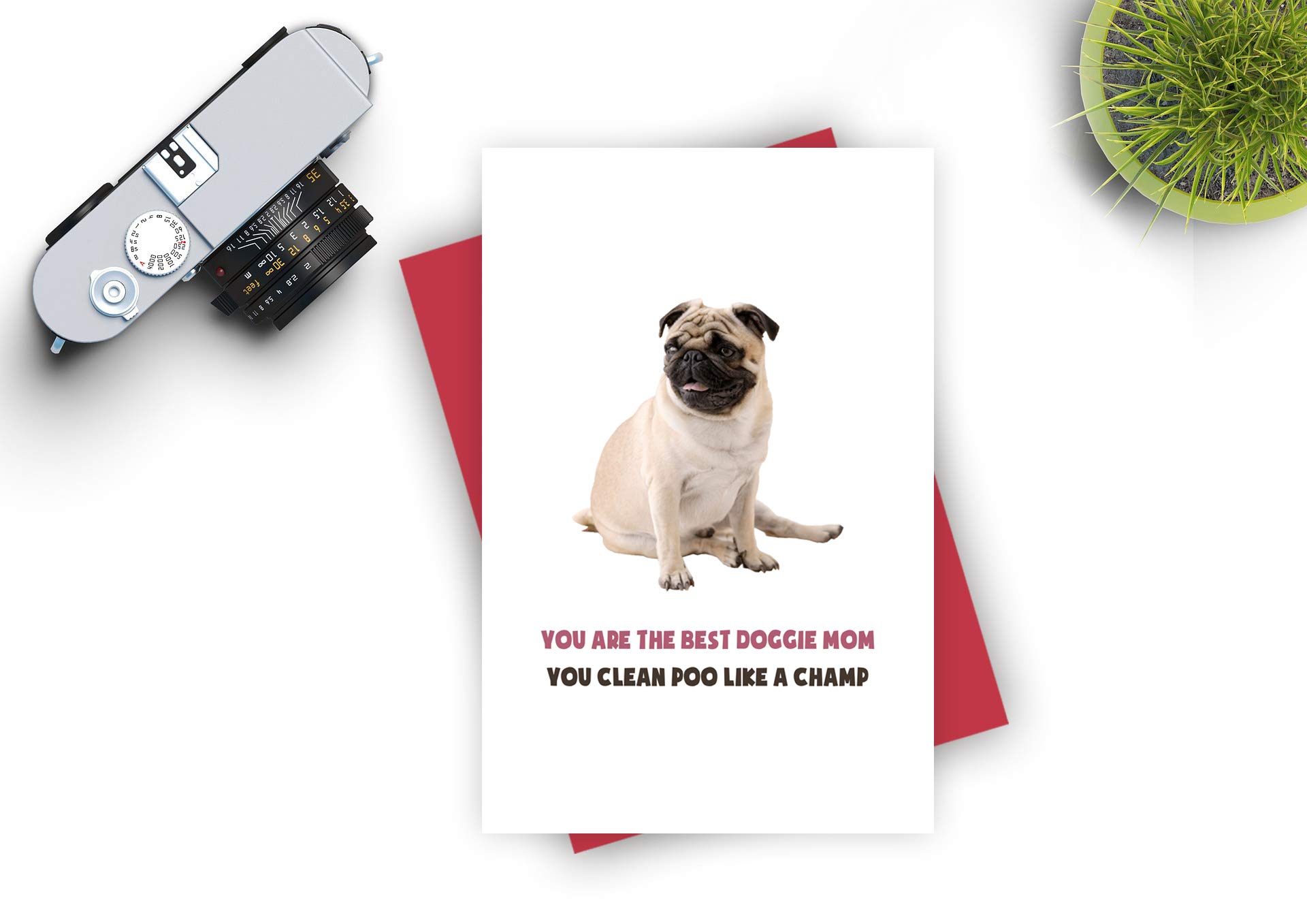 Decolove Cute Birthday Card for Mom - Funny Dog Mother's Day Greeting Card - Best Doggie Mom Gift for Pet Lovers - Perfect for Birthday Wishes & Dog-Themed Celebrations