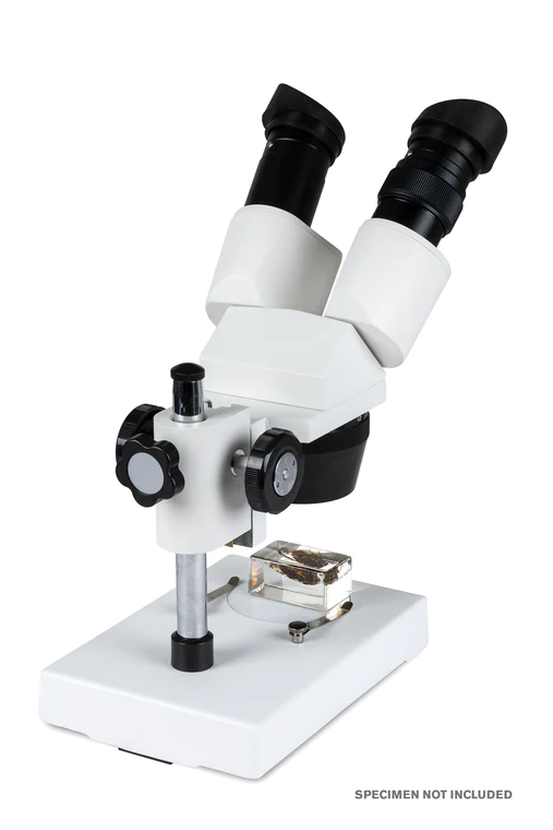 Celestron Labs S1030N Stereo Microscope 20x-40x Magnification for Kids & Adults - Perfect for Coin Collecting, Jewelry Inspection & Science Education