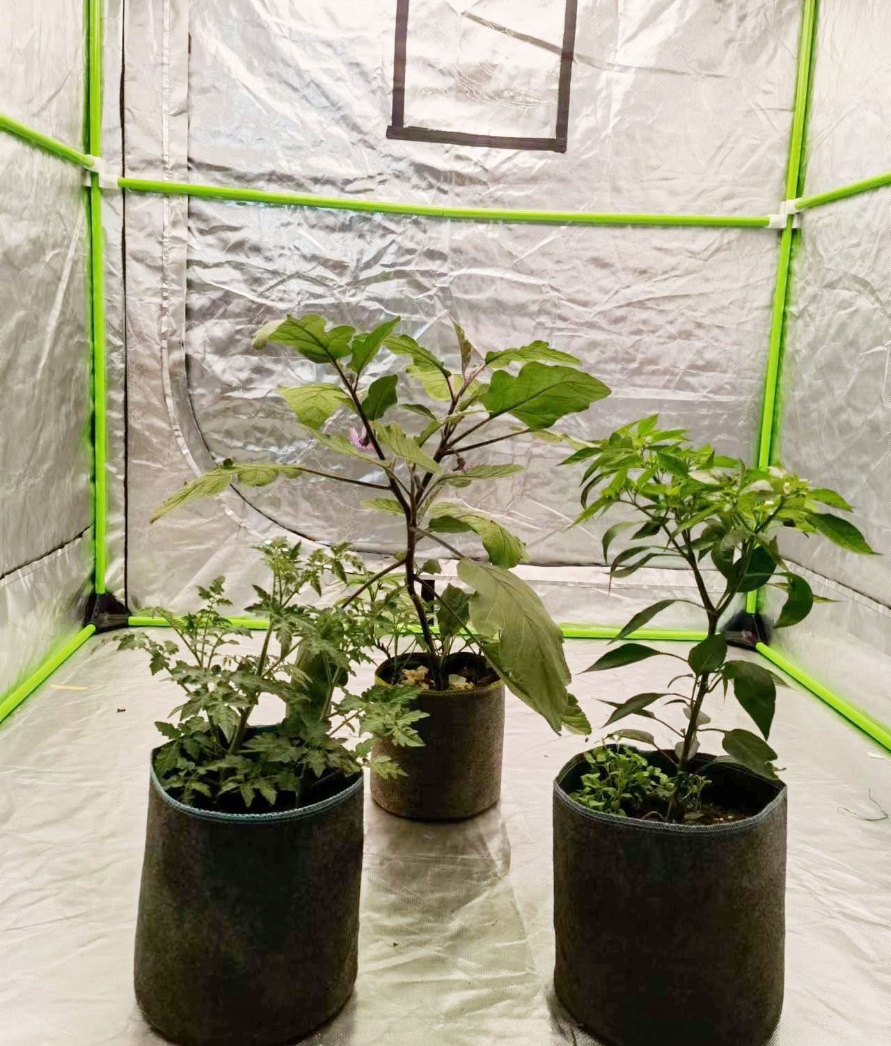 5 Gallon Fabric Grow Bags - Durable Non-Floppy Plant Pots with Air Pruning Technology (10 Pack, Black/Gray) - Ideal for Indoor/Outdoor Gardening, Vegetables, Flowers, Herbs & Hydroponics - Perfect for Balcony, Patio, Greenhouse, Urban Farming & Container Gardening - Great for Tomatoes, Potatoes, Peppers & Small Trees - Enhance Your Home Garden, Urban Farming, and Sustainable Agriculture Projects