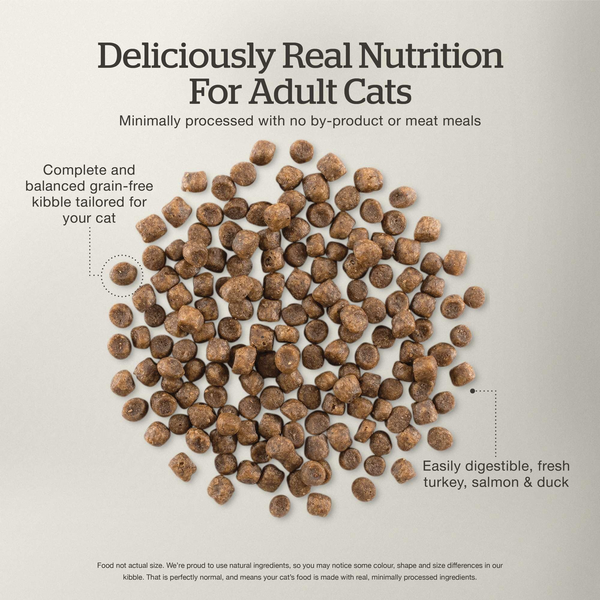 Now Fresh Grain-Free Dry Cat Food - Turkey, Salmon & Duck Recipe for Adult Cats - 16 lb Bag - High Protein Kibble with Real Meat & Fish - Perfect for Indoor & Outdoor Cats