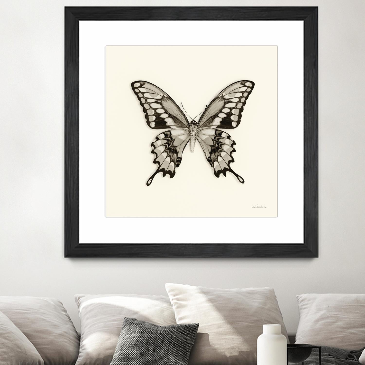 Butterfly VI BW Crop Top - Women's Fashion Black & White Floral Print Short Sleeve Shirt - Perfect for Summer Outfits, Beach Wear & Casual Street Style