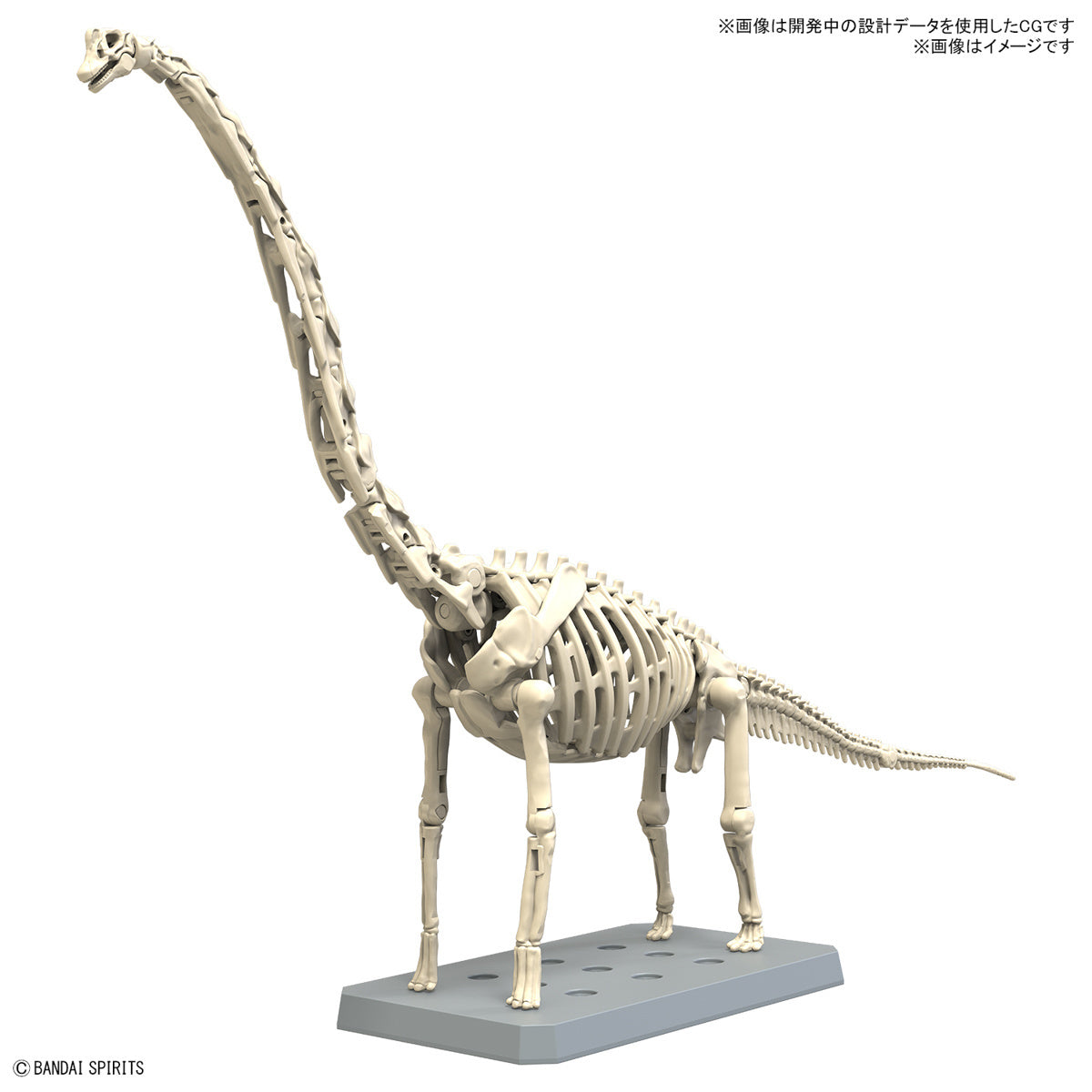 Bandai Plannosaurus Brachiosaurus Dinosaur Model Kit - Premium Collectible Building Set for Kids & Adults - Perfect for Home Decoration, School Projects & Dinosaur Enthusiasts