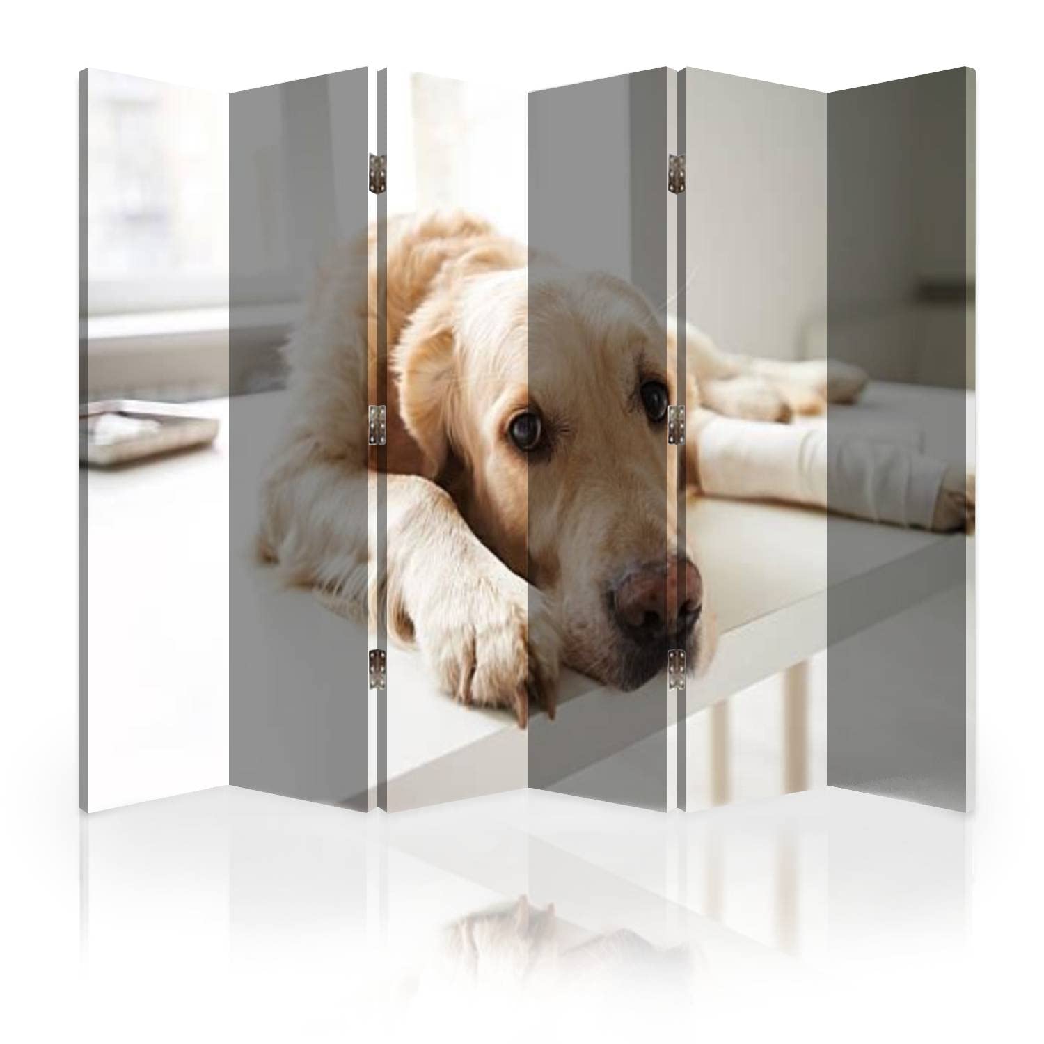 6-Panel Canvas Room Divider Screen - Foldable Privacy Partition for Home & Office | Dog-Friendly Room Separator | Perfect for Living Rooms, Bedrooms & Workspaces