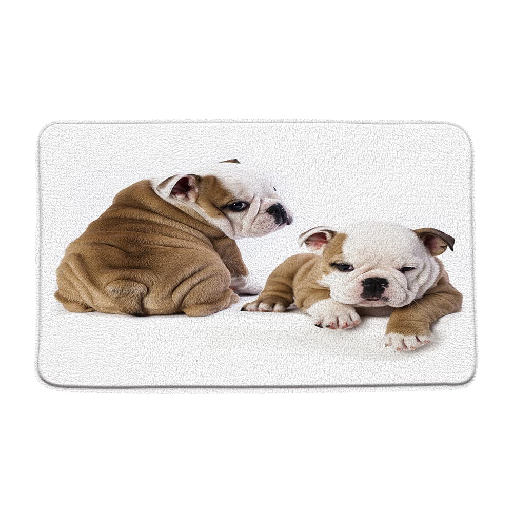 Funny French Bulldog Bath Mat - Absorbent Non-Slip Dog Themed Bathroom Rug for Pet Lovers (16x24 Inch) - Perfect for Bathroom, Kitchen & Toilet Floor Decor