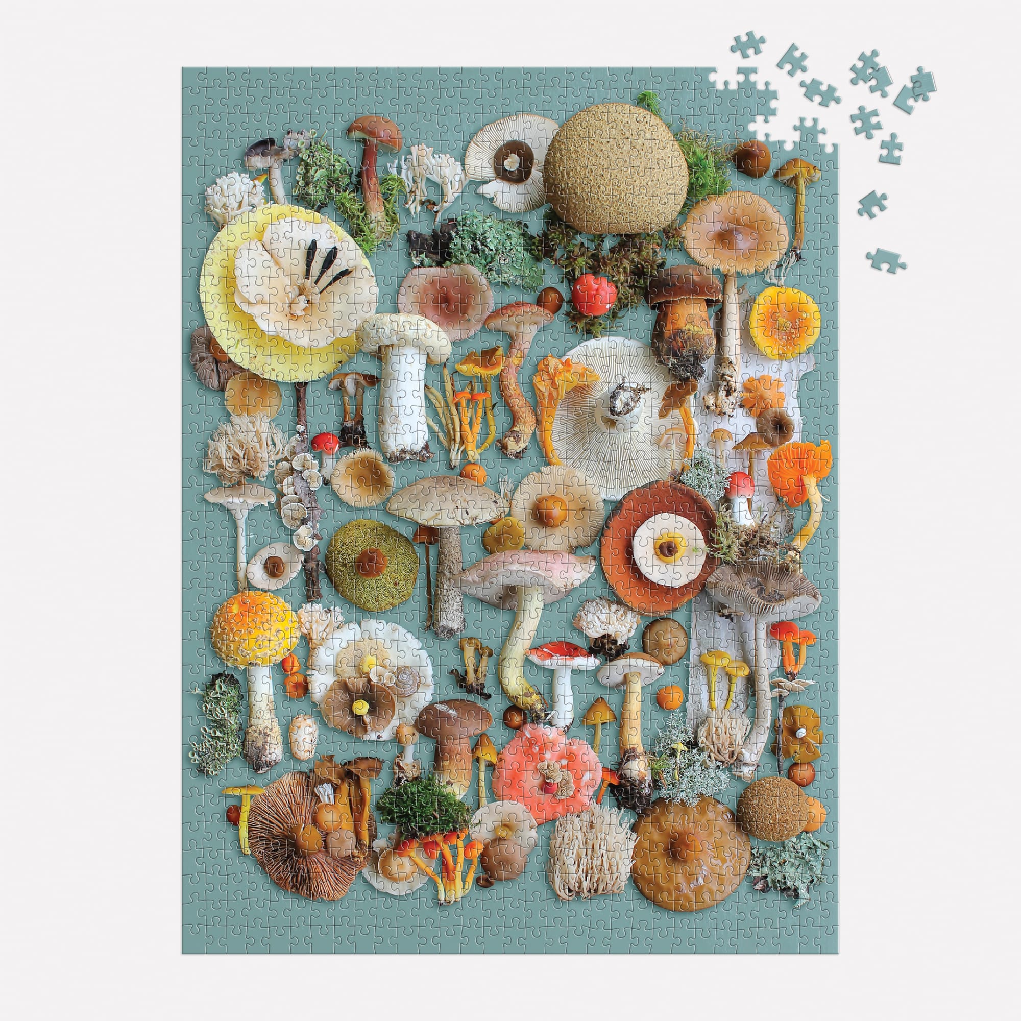 Foraged Mushroom & Wildflowers 1000 Piece Jigsaw Puzzle for Adults - Nature-Themed Challenging Puzzle for Family Game Night & Relaxation