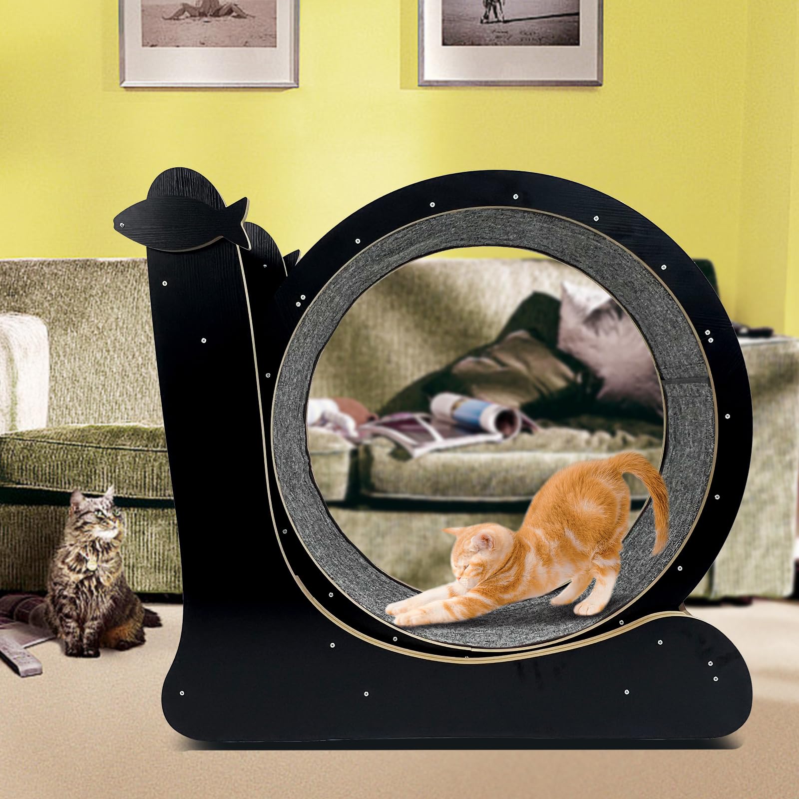Premium 2-in-1 Cat Exercise Wheel - 39.4