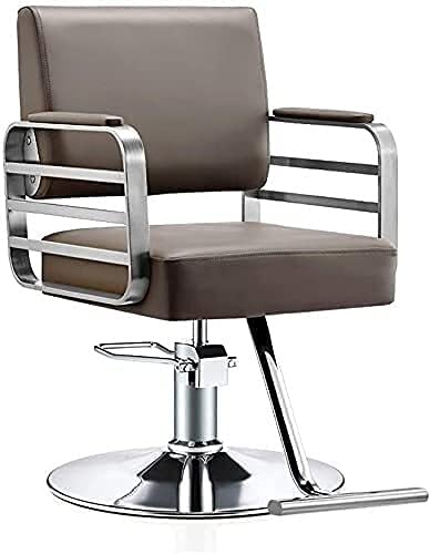 Professional Hydraulic Salon Chair for Business & Home - Heavy Duty 420 lbs Capacity, Modern Grey Beauty & Barber Chair with Swivel Base - Perfect for Hair Salons, Barber Shops & Home Styling