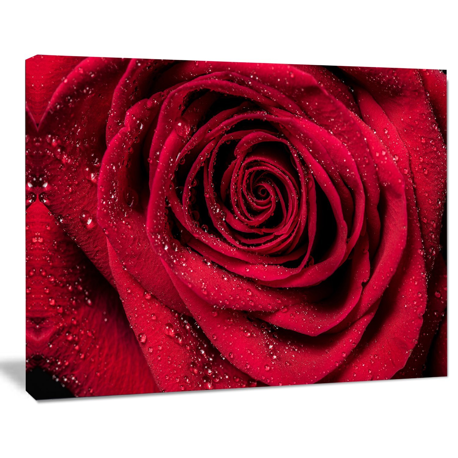 Designart (DET43) Red Rose Petals in Rain Droplets Canvas Wall Art Print - 20x12 Inches, Vibrant Red Floral Painting - Perfect for Living Room, Bedroom & Office Decor