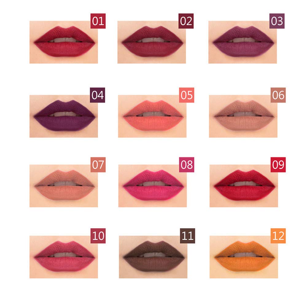 12 Pcs Waterproof Lip Liner Pencil Set - Professional Long Lasting Lipstick Makeup Kit for Women, Perfect for Daily Use, Parties & Special Occasions