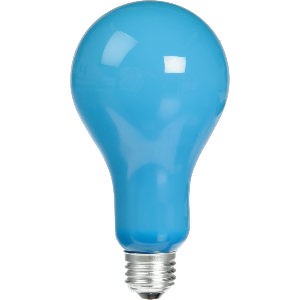 500W 120V EBW #G PS25 Daylight Bulb - Bright White Light for Home, Office, and Workshop Lighting