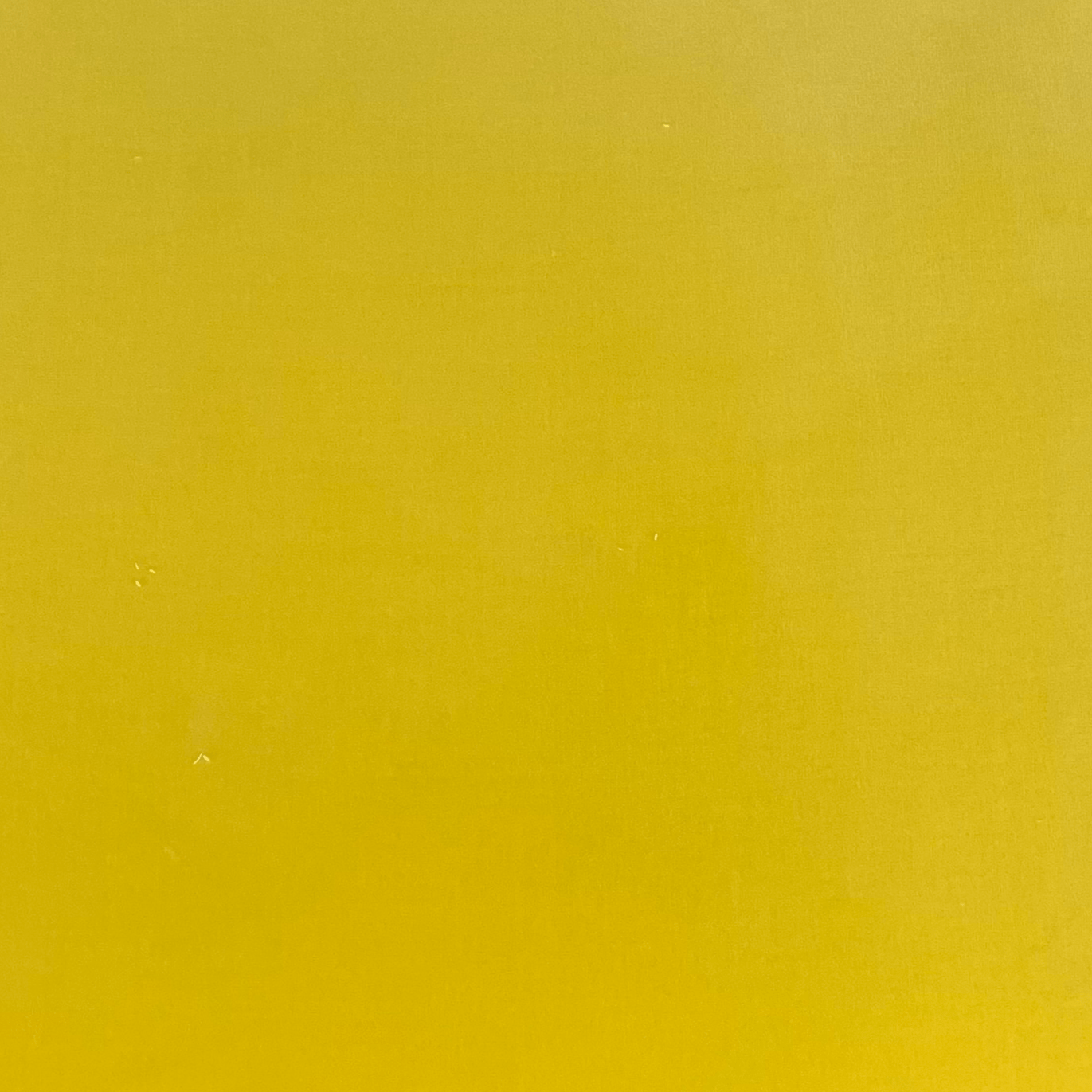 Buttercup Cotton Blend Velvet Fabric - Soft & Luxurious Textile for Upholstery, Drapes, and DIY Sewing Projects | Perfect for Home Decor, Clothing, and Crafting