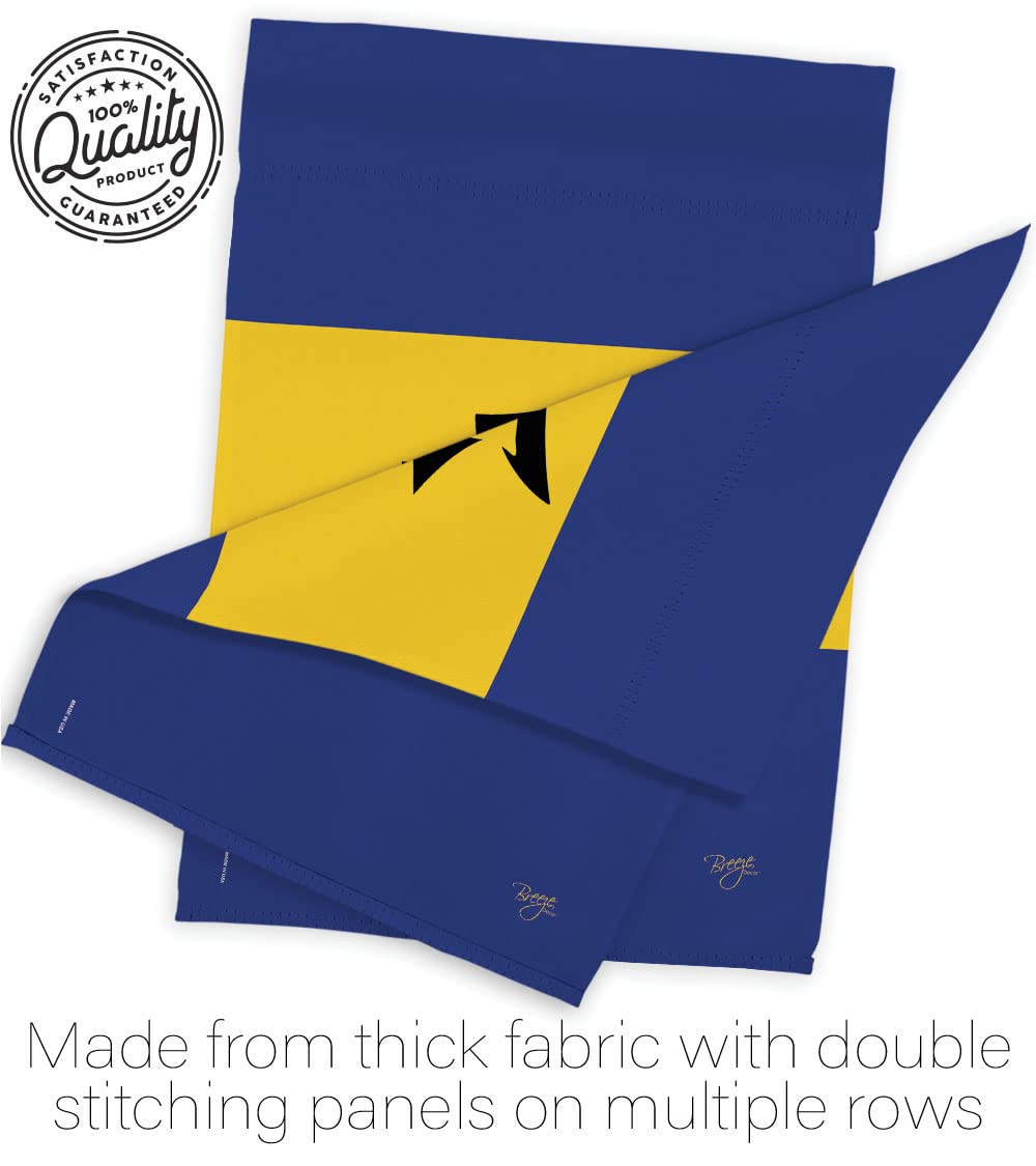 Barbados National Flag 28