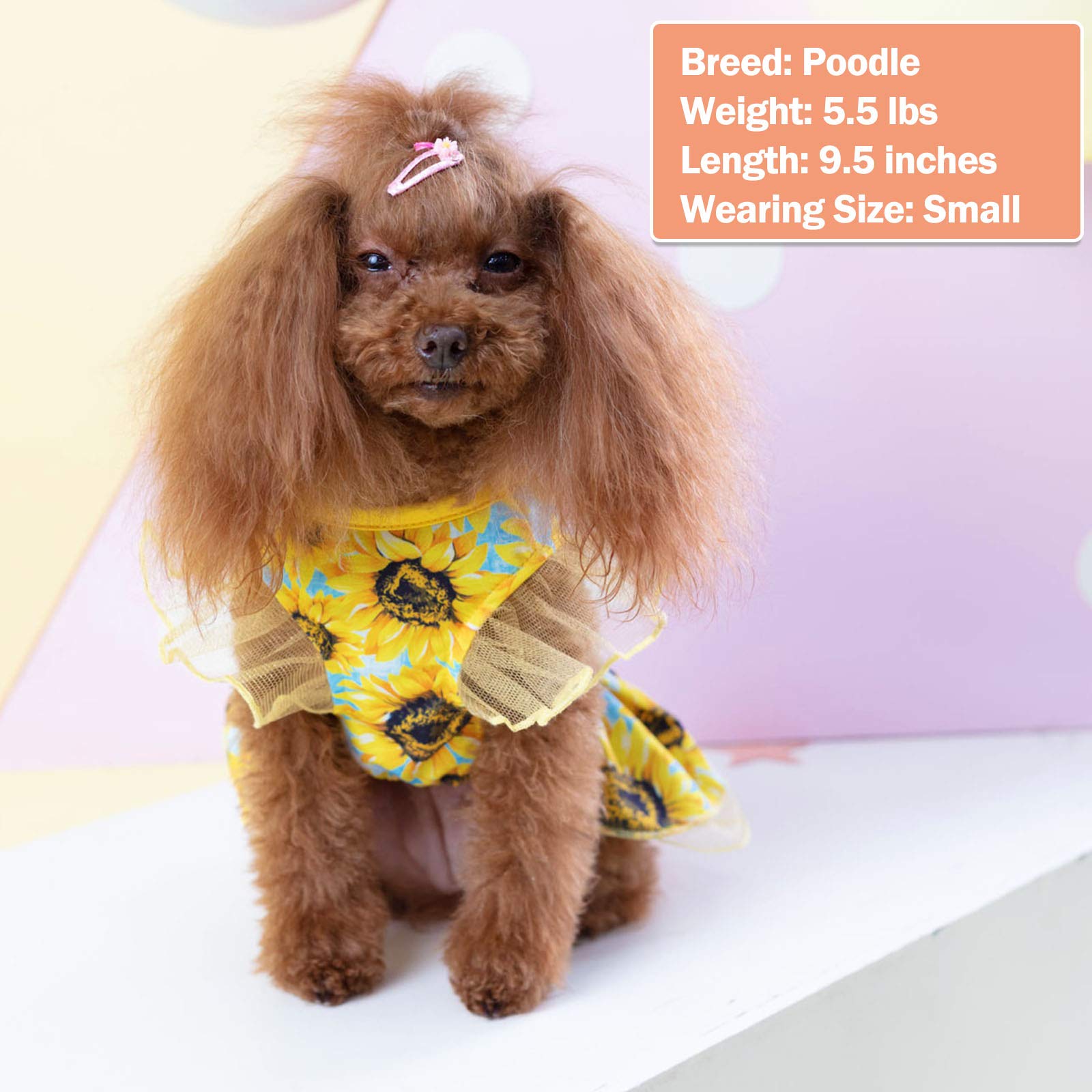 KYEESE Sunflower Dog Dress for Small Dogs - Cute Tulle Sundress with Ruffle Sleeves Pet Apparel | Perfect for Summer Outings & Photo Shoots