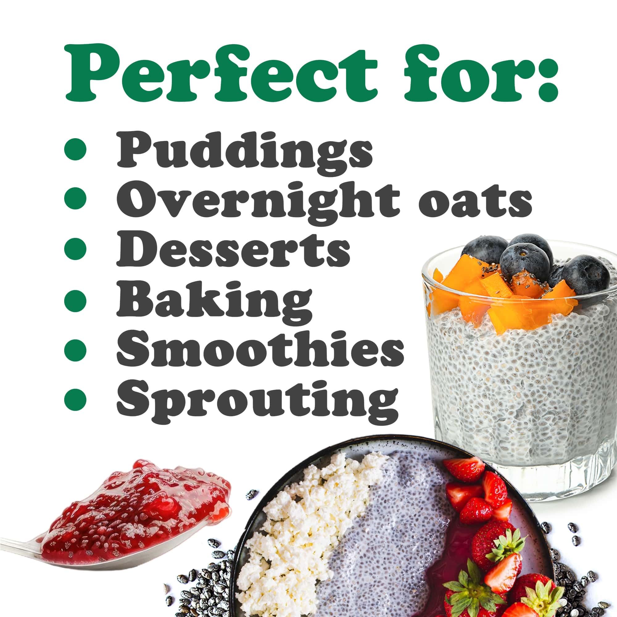 Food to Live - Organic Black Chia Seeds, 20 Pounds Bulk - Whole, Sproutable, Vegan, Kosher, Keto, Paleo, Sirtfood Diet Friendly - High in Omega-3, Fiber & Protein - Perfect for Chia Pudding, Smoothies, Oatmeal, Baking & Weight Loss Recipes