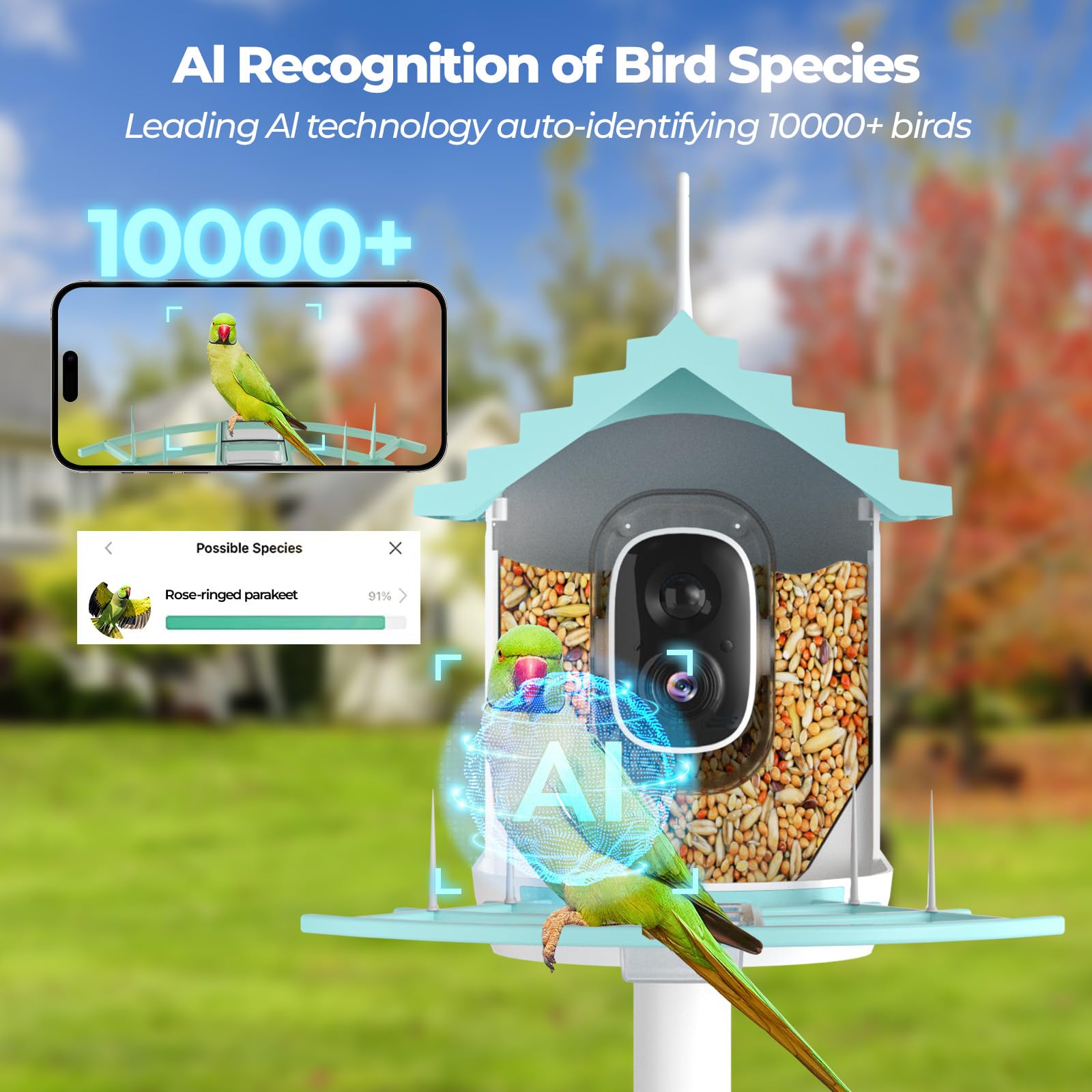 Smart Bird Feeder with HD Camera & Solar Power - Wireless Live Streaming, Weatherproof Design - Perfect Gift for Bird Lovers (Backyard, Garden, Patio Wildlife Watching)
