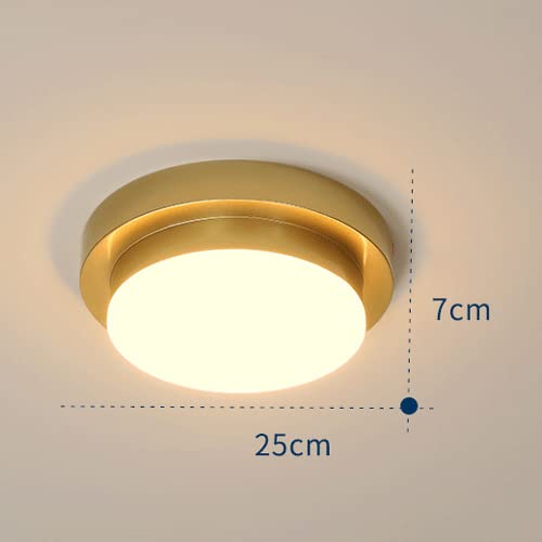Modern 14W LED Ceiling Light Fixture - Metal & Acrylic Surface Mounted Lighting for Bedroom, Living Room, Corridor, Balcony | Energy Efficient Home Lighting Solution for Indoor Spaces