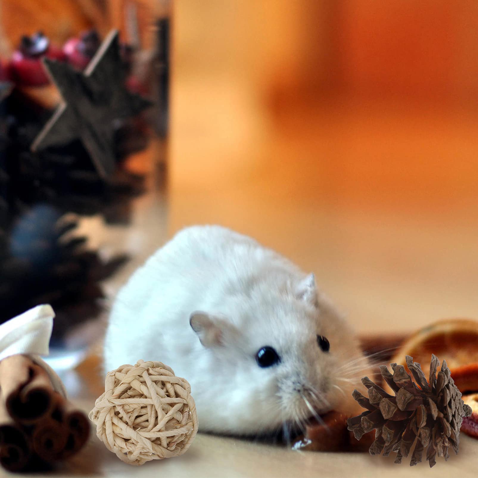 Balacoo 11pcs Hamster Chew Toys for Rabbits, Parrots & Small Pets - Natural Wooden Biting Playthings for Cage Enrichment & Teeth Health - Perfect for Chewing, Teething & Playtime Fun