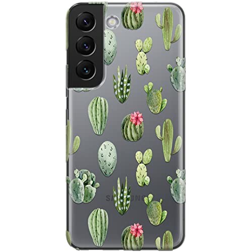 Cacti