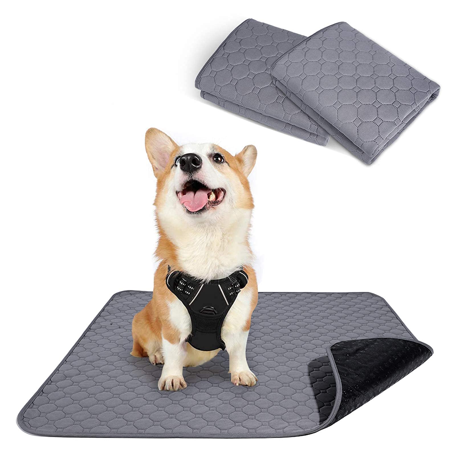 Rabbitgoo Adjustable No Pull Dog Harness with Leash Clips (Medium) & Washable Waterproof Super Absorbent Puppy Pee Pads - Perfect for Potty Training Dogs and Cats, Indoor Outdoor Use