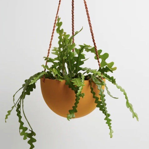 Golden Dome Hanging Planter for Indoor Plants - Macrame Plant Hanger for Home Decor, Living Room, Bedroom & Balcony