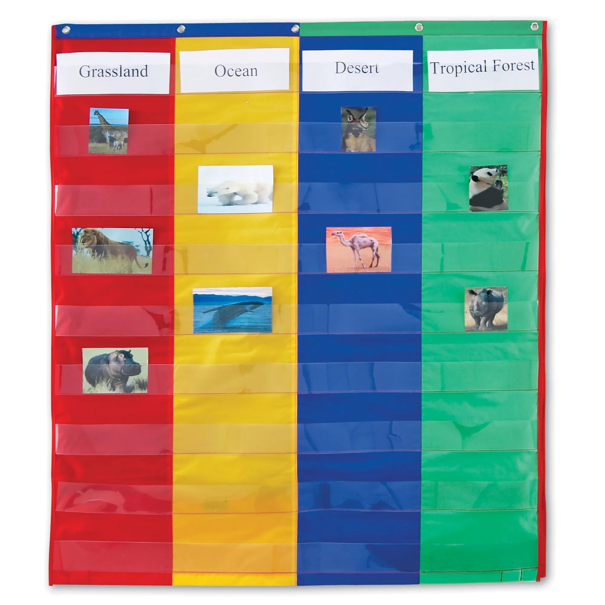2 + 4 Column Pocket Chart for Classroom Organization - Perfect for Teacher Supplies, Homeschool Learning & Student Activities - Ideal for Sorting Cards, Word Walls & Daily Schedules