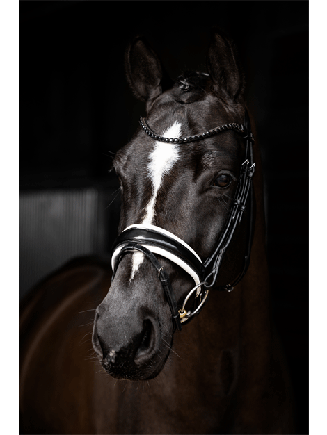 Kudos Patent Dressage Bridle by Le Mieux - Premium Equestrian Show Bridle for Dressage Competitions & Training