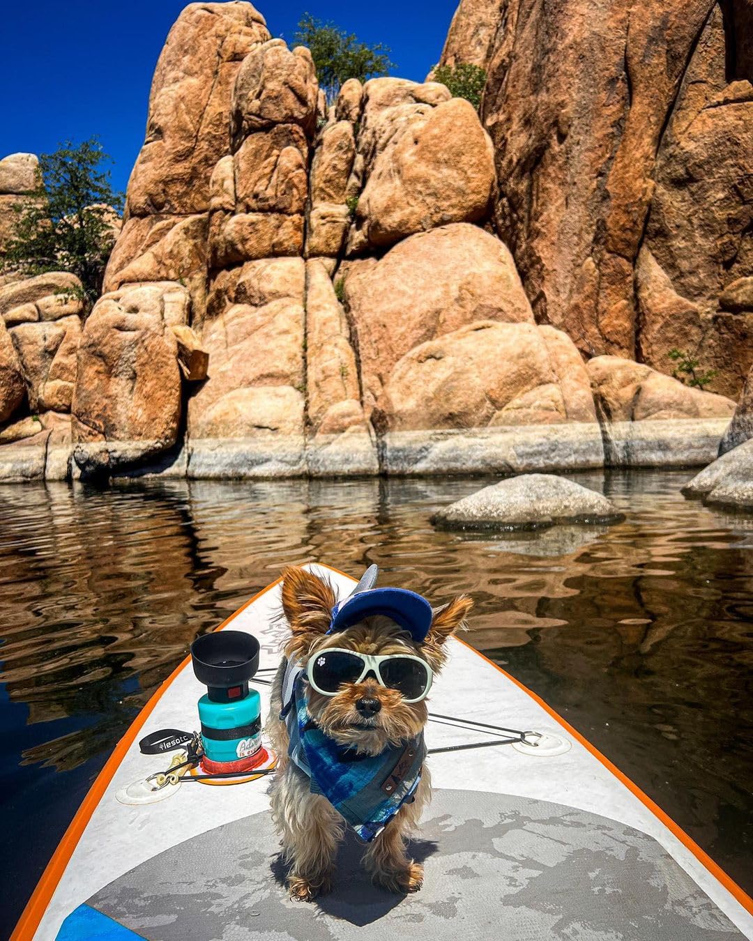 **Lesotc Dog Water Bottle - Portable Leak-Proof Pet Travel Water Dispenser with Bowl for Dogs | Essential Puppy Accessories for Outdoor Walking, Hiking, Camping & Travel**    *(Use Case: Keep your dog hydrated on the go during walks, hikes, camping trips, or road trips with this convenient and leak-proof water bottle!)*