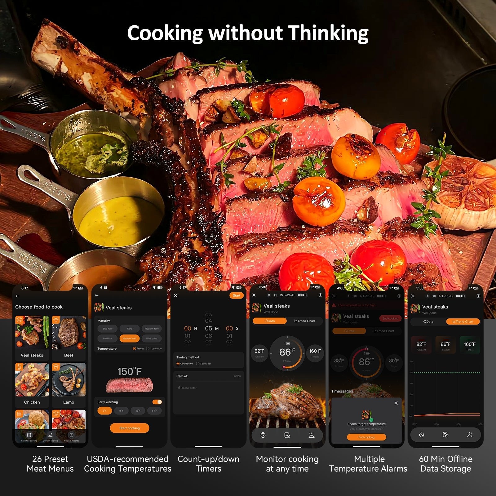 Wireless Bluetooth Meat Thermometer INT 21 B - Digital Cooking Thermometer for Grilling, Smoking, BBQ & Kitchen Use