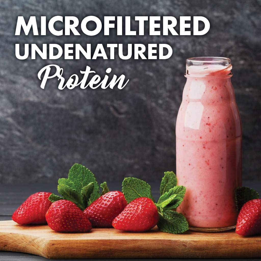 BlueBonnet Grass-Fed Whey Protein Isolate Powder - 26g Protein, No Sugar Added, Gluten & Soy Free, Kosher Dairy - 2 Lbs (28 Servings) French Vanilla Flavor - Perfect for Post-Workout Recovery & Healthy Smoothies