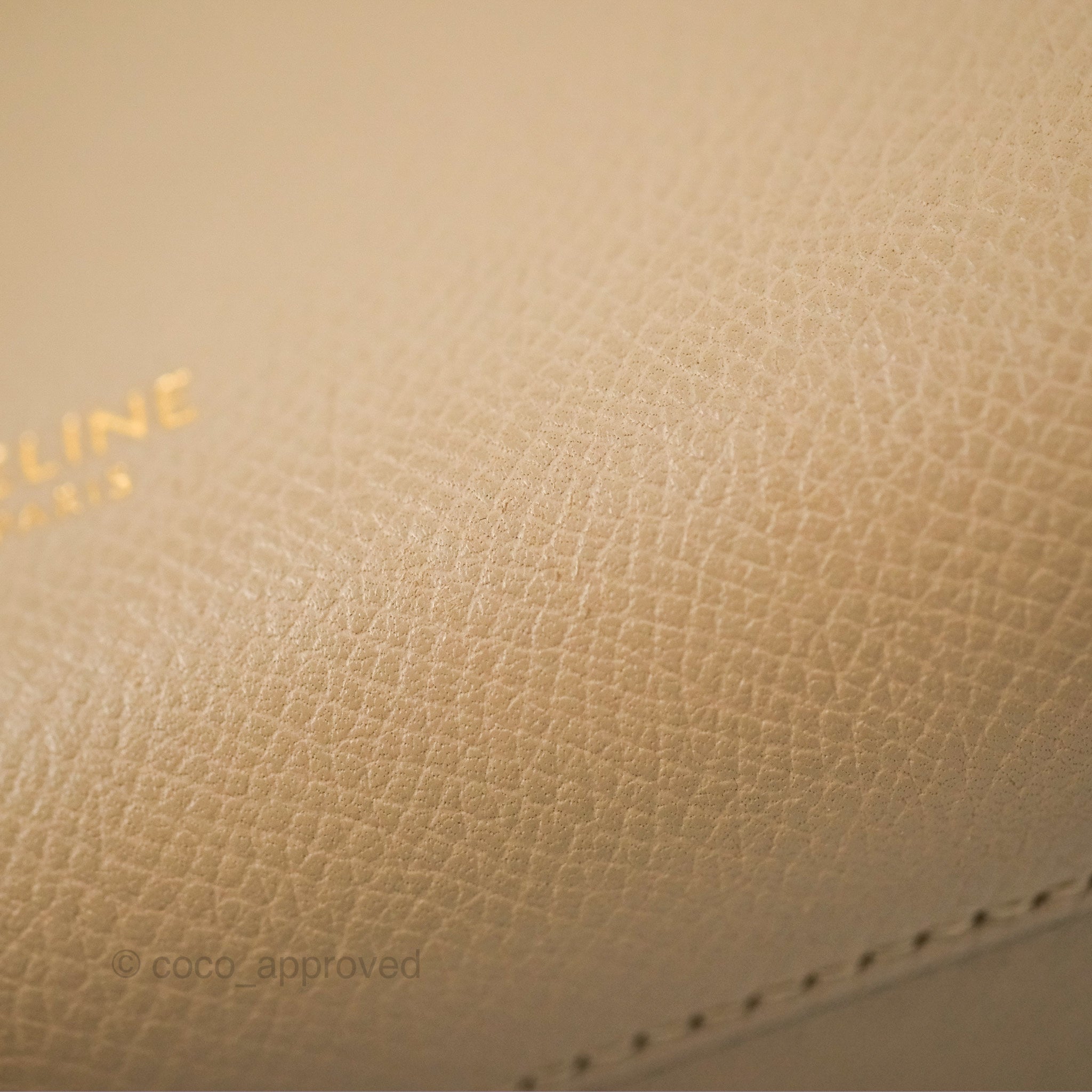 Celine Nano Belt Bag in Light Taupe Grained Calfskin with Gold Hardware - Perfect for Everyday Use, Work & Travel